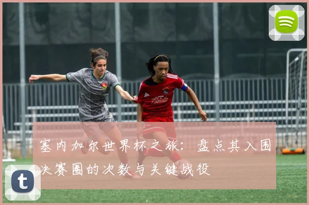 塞内加尔世界杯之旅：盘点其入围决赛圈的次数与关键战役