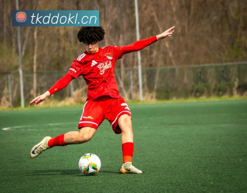 云顶集团官网首页入口服务体系